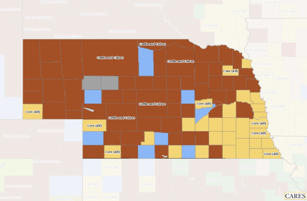 A map of Nebraska showing the top commodity in each county.